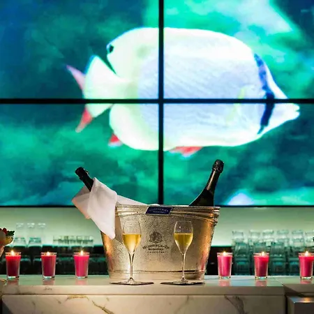 铂尔曼戛纳曼德里亚皇家赌场酒店 酒店 4*